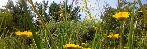 как заправить распошивальную машину