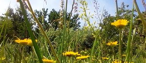 Купить швейную машинку б у