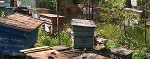 Оборудование для швейной мастерской