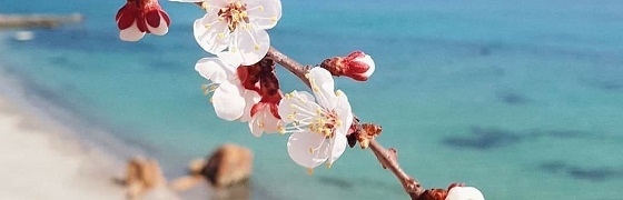 Швейное производство на дому
