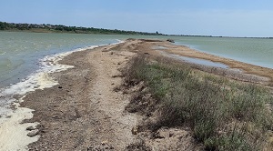 технолог швейного производства