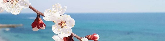 arenda-shvejjnojj-mashiny