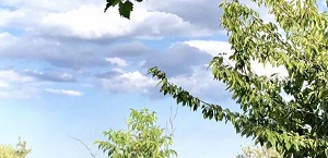 купить оверлок недорого