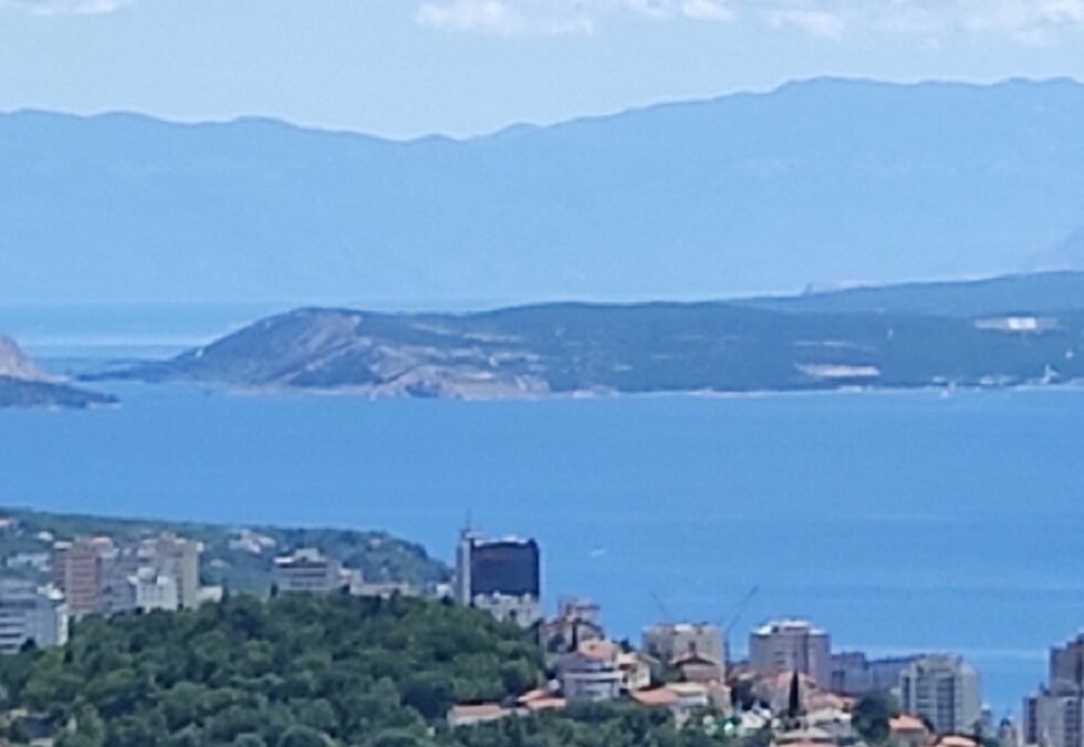 С выставки