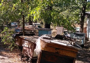 Ателье фурнитуры