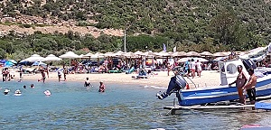 Швейник