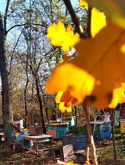Распошивальная машина в аренду Одесса